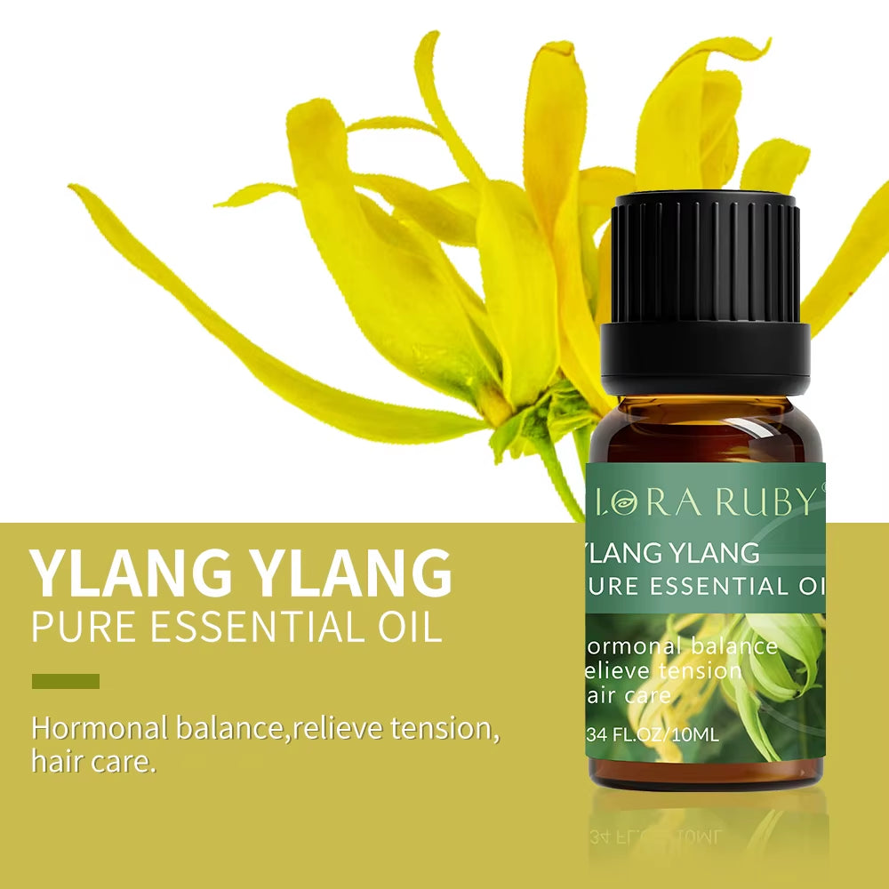 Essential Oils for Diffusers Lavender Eucalyptus Tea Tree Peppermint Rosemary Mint Bergamot Lemon Rose Pure Essential Oil 10Ml